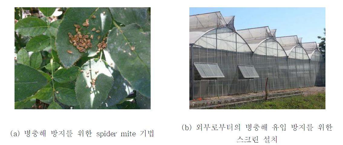 Antibes 소재 INRA 방문 (병충해 방지를 위한 친환경 원예 기법 및 스크린 설치)