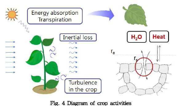 작물 주변과의 에너지 교환 과정 모식도