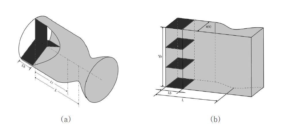 Chamber geometry for (a) three-dimensional model and (b) annular model