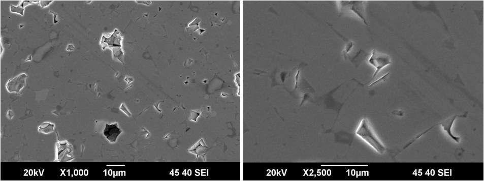 SEM images of sintered ZrB2-ZrSi2(20wt%)
