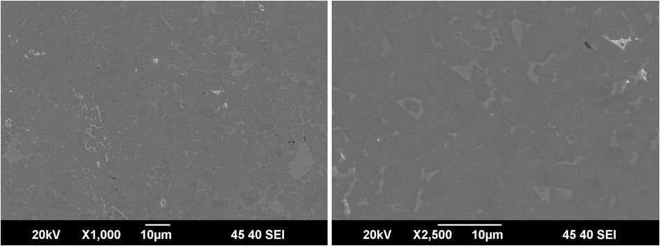 SEM images of sintered ZrB2-ZrSi2(40wt%)