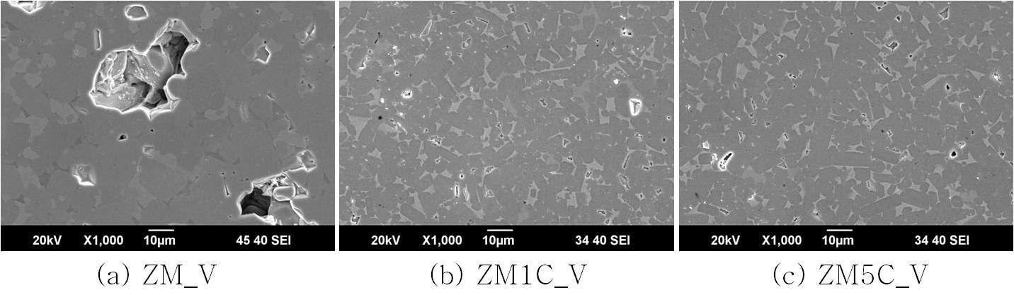 SEM images of sintered samples with vacuum