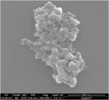 SEM Image of SiC dispersed in NMP without dispersant.