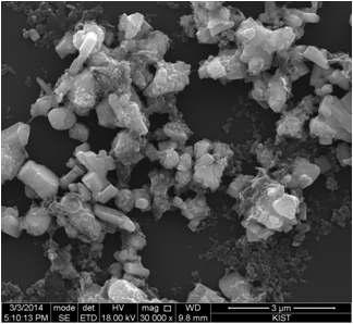SEM Image of ZrB2-SiC dispersed with 3 wt% PVDF in NMP.