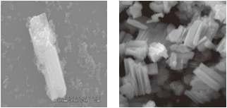 borothermal reduction을 이용한 합성 powder의 형상