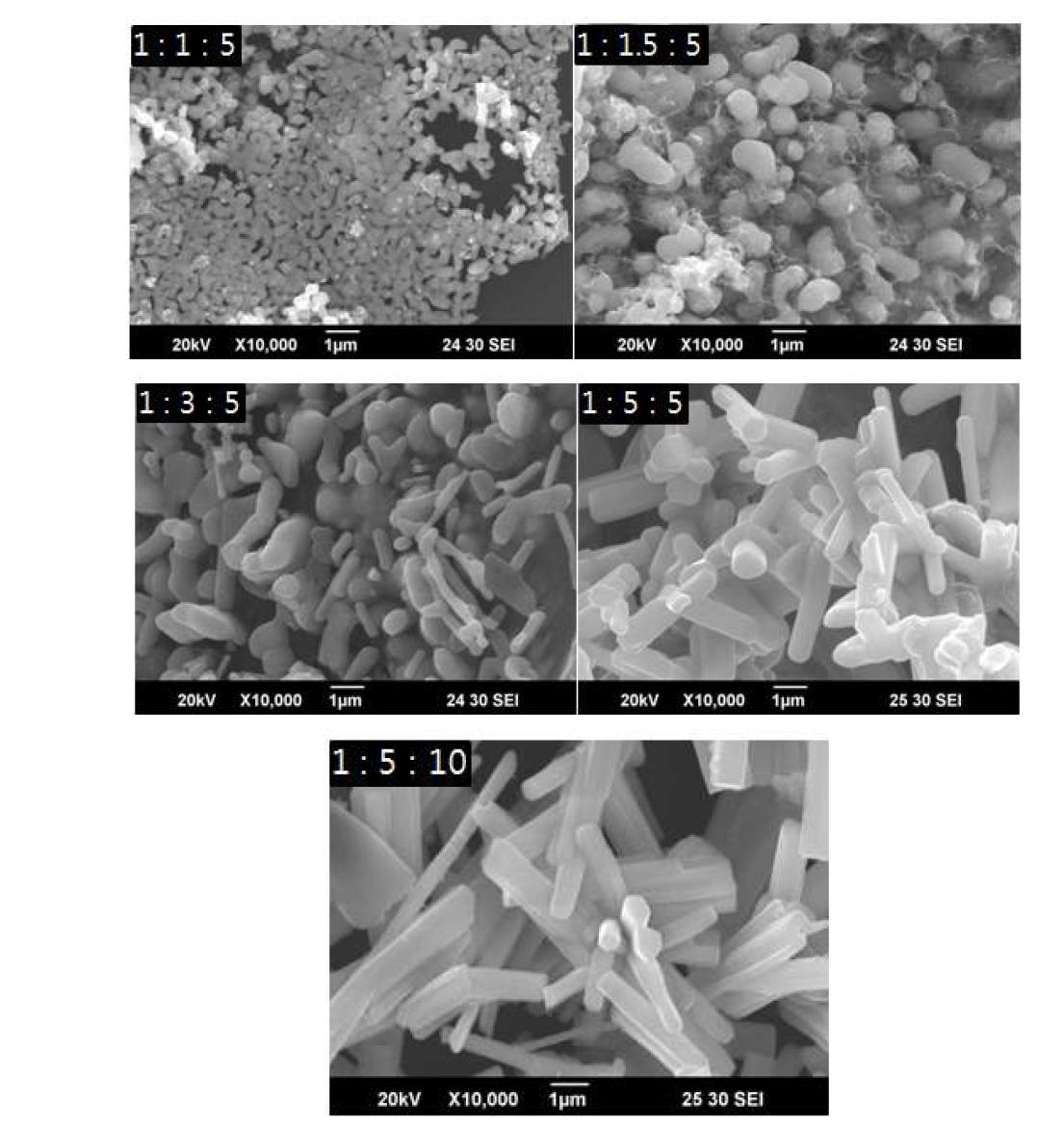 SEM images of synthesized powder with Zr : B : C molar ratio
