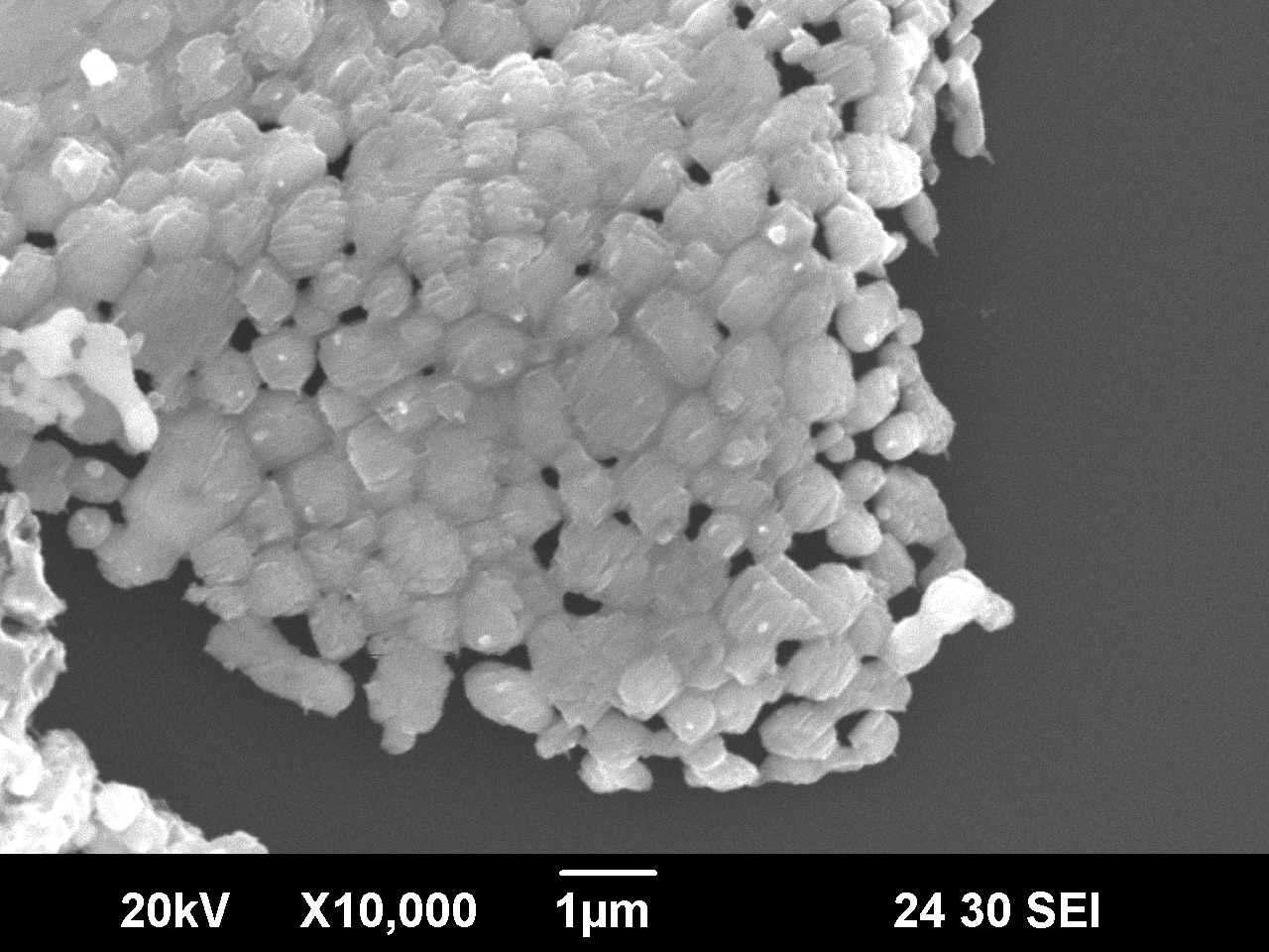 B2O3 & carbon 제거 공정을 거친 합성 powder의 SEM Image