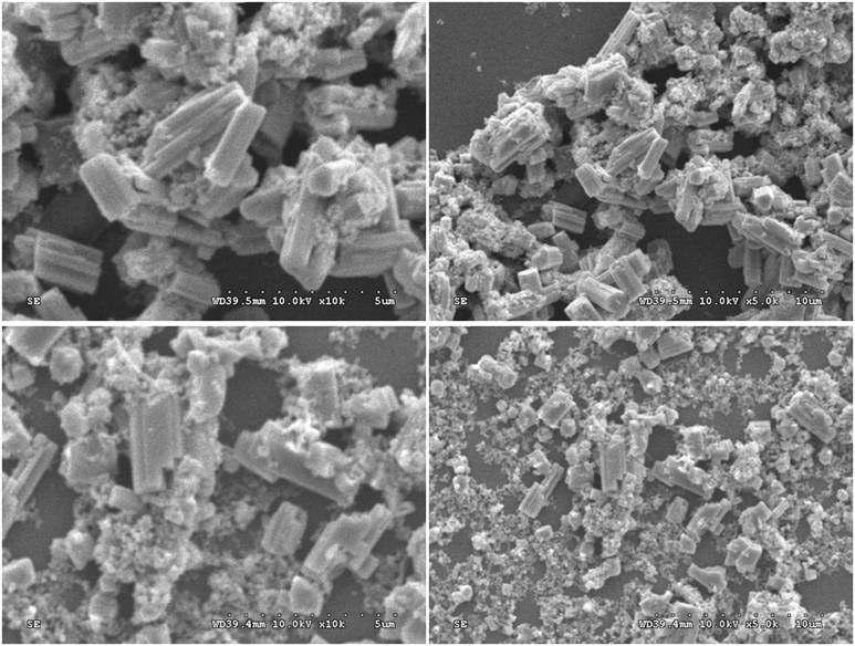SEM image of synthesized ZrB2 with 1250℃, 2 hours