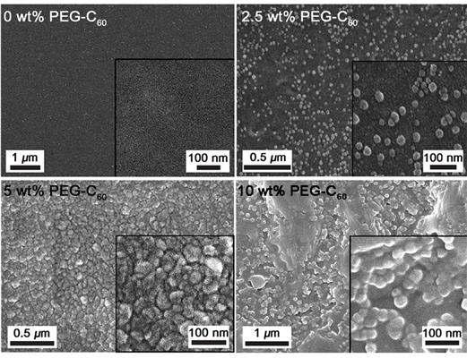 자기조립을 통해 형성된 PEG-C60 buffer layer의 scanning electron microscopy 이미지.