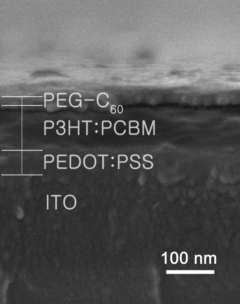 자기조립을 통해 형성된 PEG-C60 buffer layer의 단면 scanning electron microscopy 이미지.
