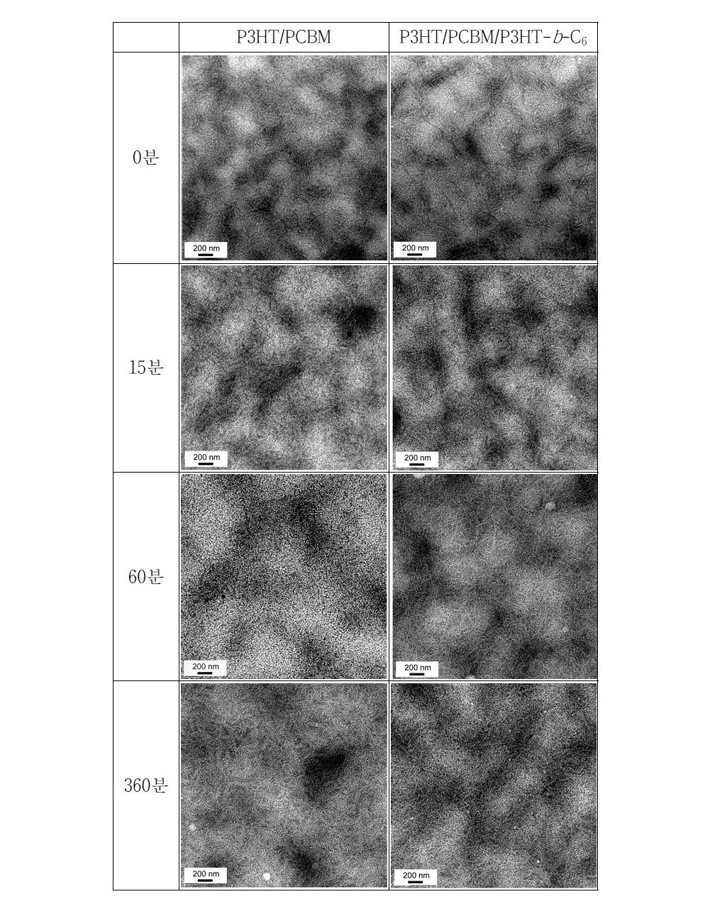 열처리 시간에 따른 P3HT/PCBM 블렌드 박막과 P3HT/PCBM/P3HT-b -C60 블렌드 박막(2.5 wt% P3HT-b -C60 블록공중합체 함유)의 전자 현미경 사진.