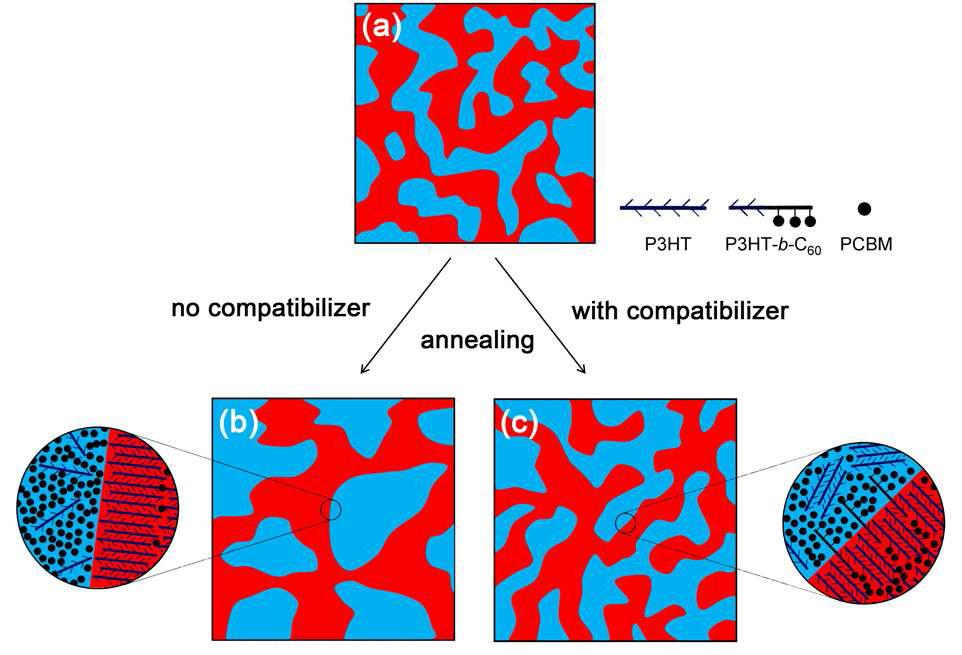 (a) 열처리 전의 블렌드 박막의 모식도와 (b) 장시간 열처리 후의 P3HT/PCBM 블렌드 박막과 (c) P3HT/PCBM/P3HT-b -C60 블렌드 박막의 모식도.