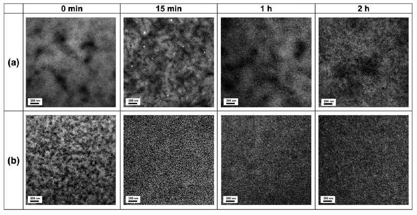 (a) 표준 P3HT/PCBM 복합체와 (b) P3HT-C60이 2.5wt%첨가된 복합체의 열처리 시간에 따른 nano-morphology 변화.