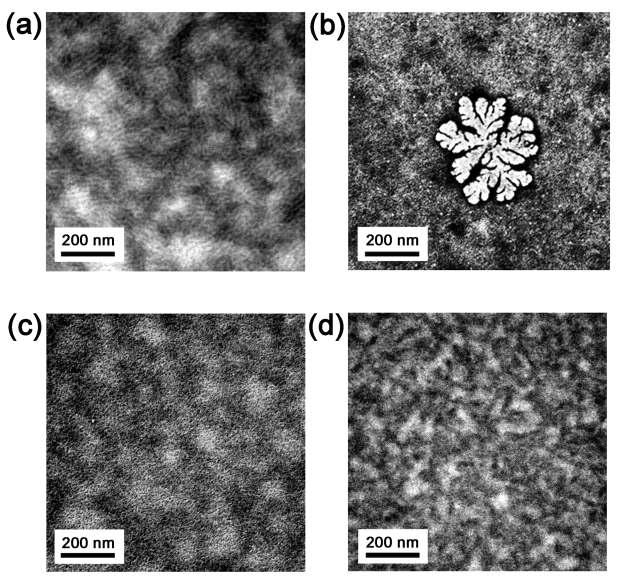 열처리(150 ℃, 5분) 후, (a) P3HT/PCBM, (b) P3HT+ZnPc/PCBM, (c) P3HT-ZnPc/PCBM과 (d) P3HT-ZnPc-C60/PCBM blend film의 전자현미경 이미지.