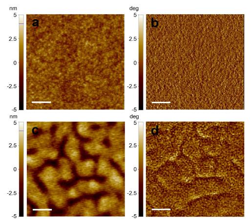 Chlorobenzene에서 스핀코팅한 박막의 (a) height (b) phase image와 ODT를 첨가한 후 스핀코팅한 박막의 (c) height (d) phase image.