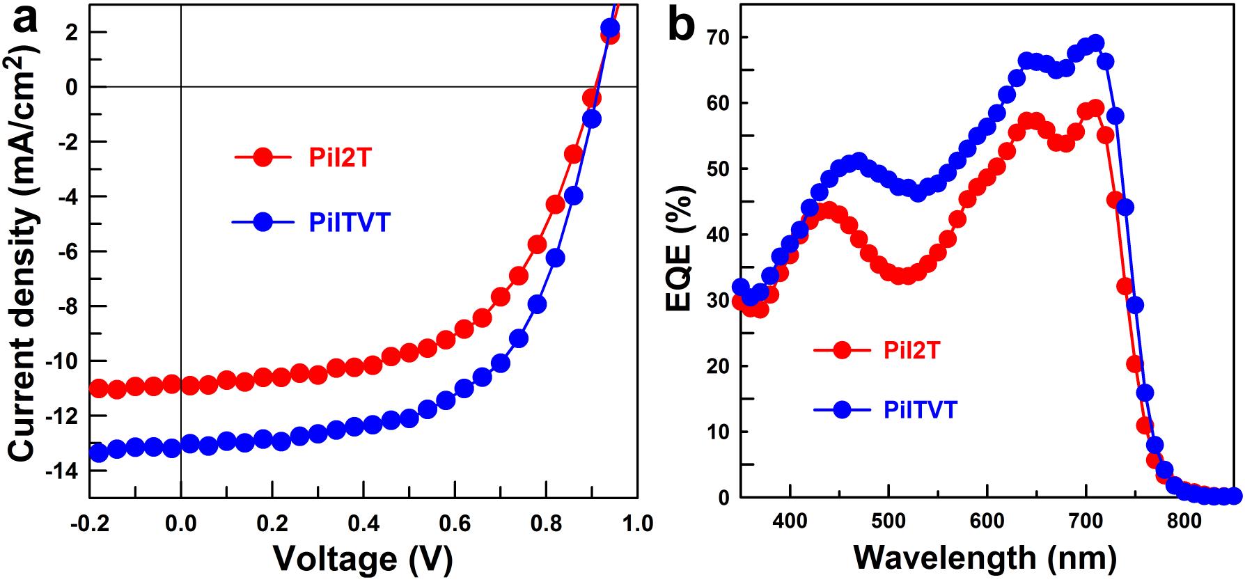 최적화된 PiI2T, PiITVT 기반의 유기태양전지의 (a) J-V 곡선과 (b) EQE 스팩트럼.