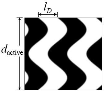 Drift-diffusion 모델에 사용된 유기태양전지의 모델 morphology. (광활성층의 두께는 dactive, domain size는 lD.)