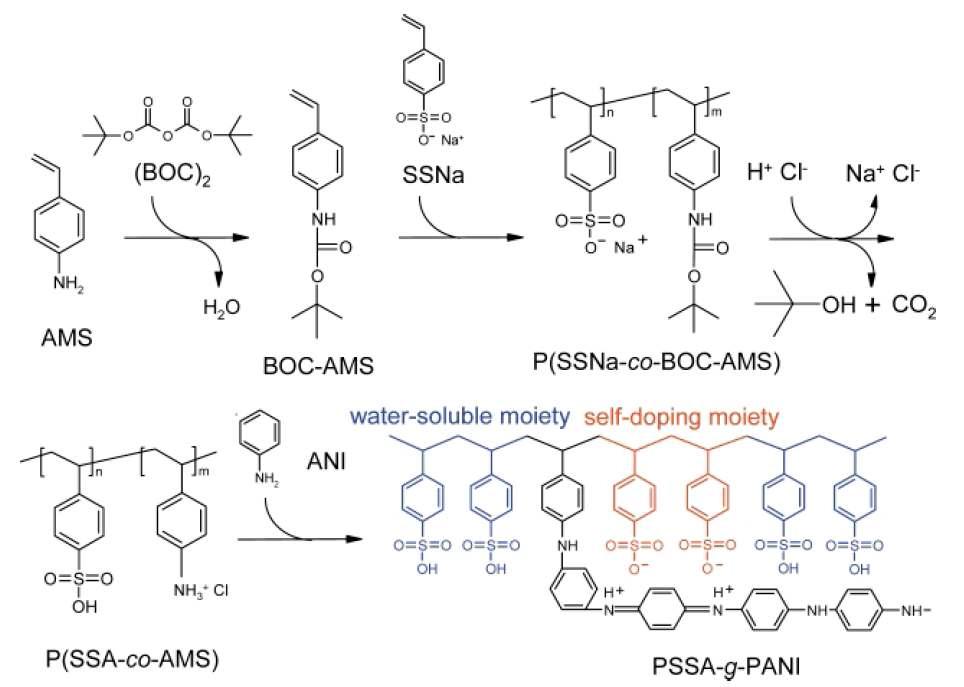 PSSA-g-PANI 공중합체의 합성 과정.