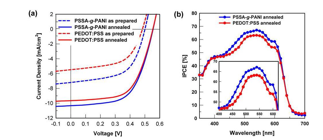 (a) PSSA-g-PANI 와 PEDOT:PSS를 정공 수송층으로 사용한 유기태양전지의 J-V 곡선과 (b) 외부양자효율.