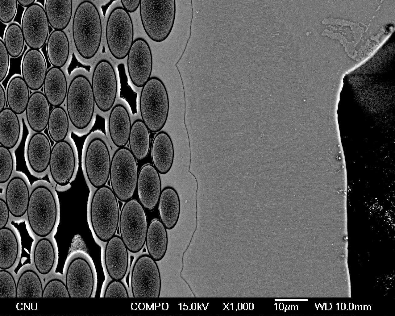 Back scattered electron image showing SiCf/SiC composite and SiC outer layers.