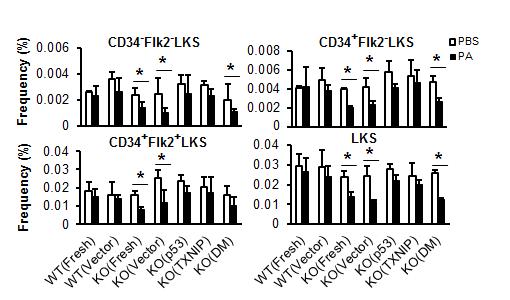 VDUP1, p53유전자 도입에의한 줄기세포의 변화