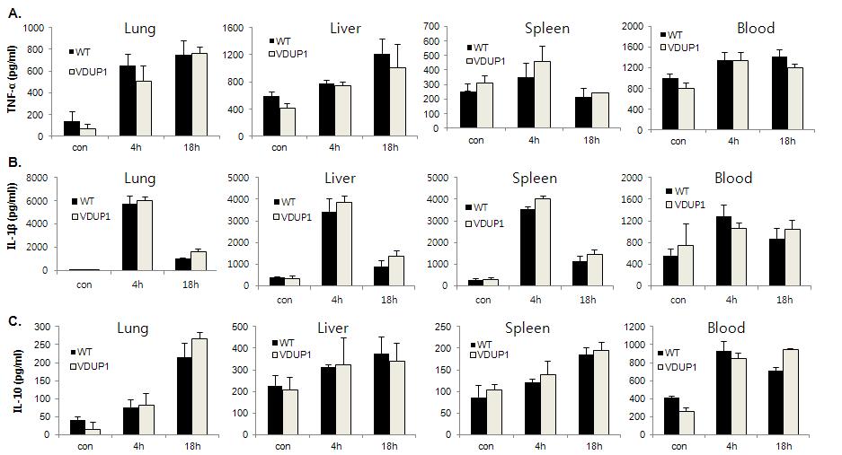 VDUP1-/-mice produce similar levels of TNF-α, IL-1β and IL-10 after LPS exposure than do those from VDUP1+/+mice.