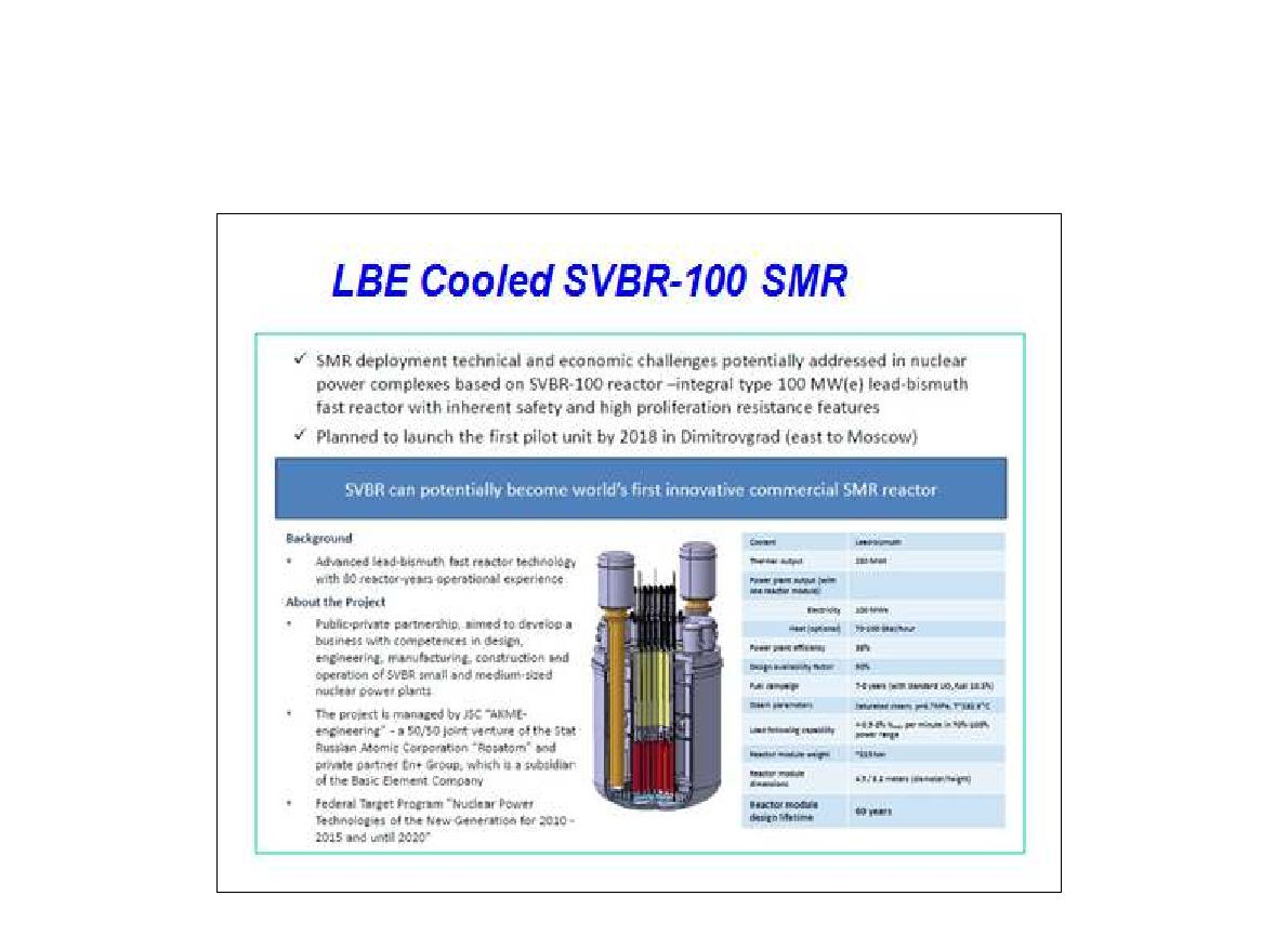 LBE 냉각 SVBR-100 SMR, www.iaea.org