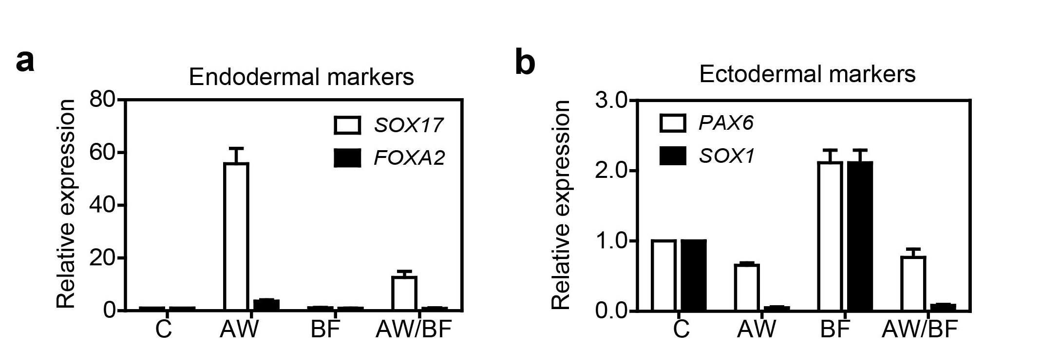 인간 배아 줄기세포 유래의 중배엽 세포에서 (a)내배엽 및 (b)외배엽 특이적 마커 유전자 발현 결과