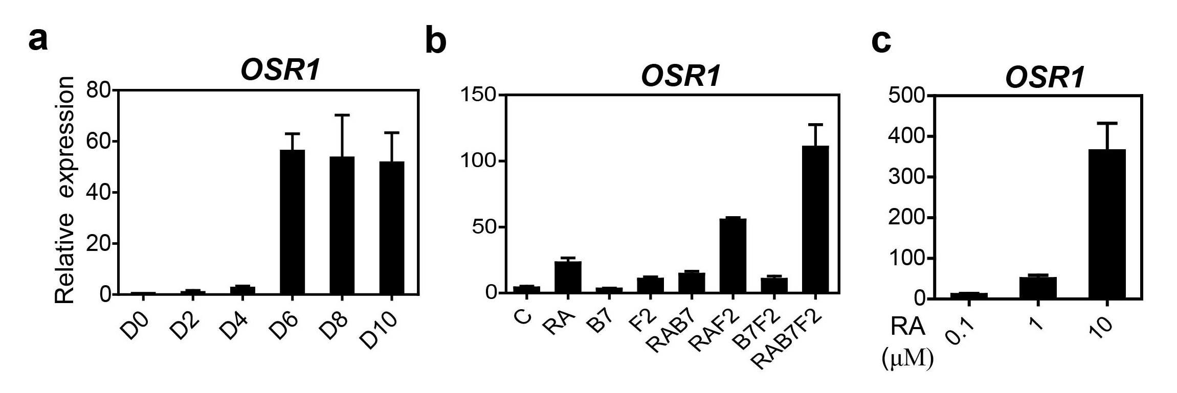 인간 배아 줄기세포 유래의 중간 중배엽 세포에서 특이마커 유전자인 OSR1의 다양한 조건에서의 발현 결과