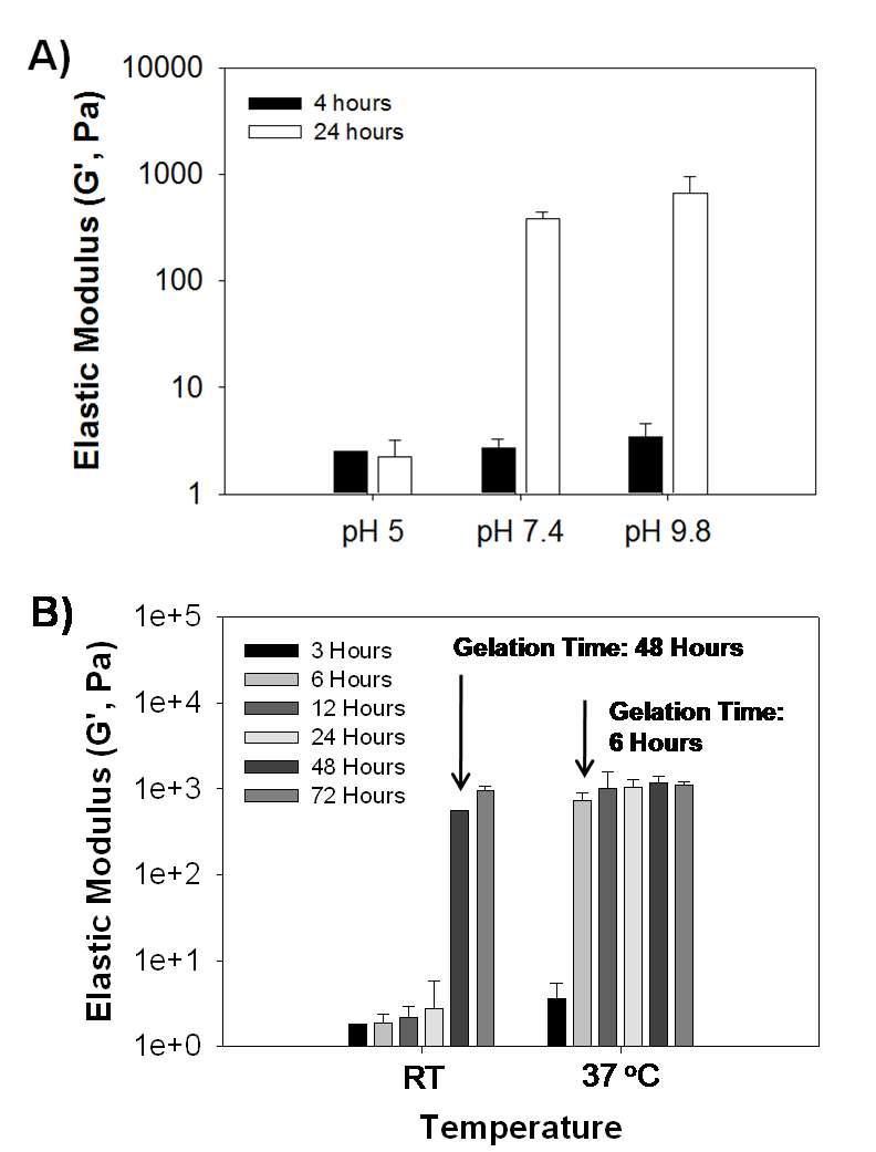 A) 키토산-카테콜의 pH와 시간에 따른 탄성계수의 변화. B) 키토산-카테콜의 온도와 시간에 따른 탄성계수의 변화.