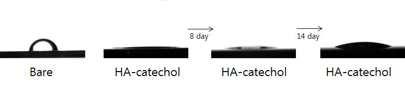 히알유론산-카테콜 코팅의 지속능력 평가 결과.