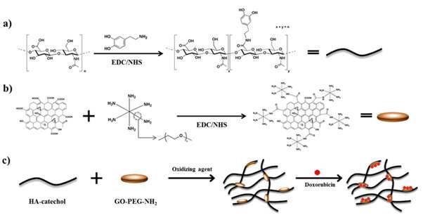 히알유론산-카테콜 접합체 합성 모식도, 그래핀-PEG-아민 접합체 합성 모식도 및 각각의 접착제 사이의 가교결합으로 하이드로젤 형성 및 그래핀 표면에 약물이 담지되는 모식도