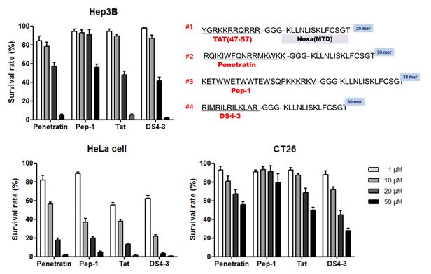Noxa의 종양세포내 전달을 위한 다양한 Cell Penetration Peptide(CPP)와 그에 따른 세포사멸 효과