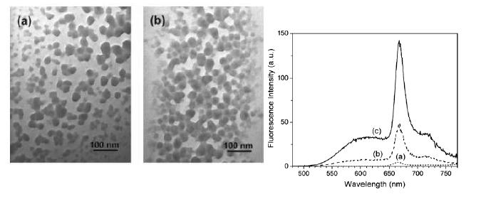 광자흡수 분자-광감작제 결합 실리카 나노입자의 TEM 사진 (좌) 및 이광자 광역학 효과 증폭 (우).