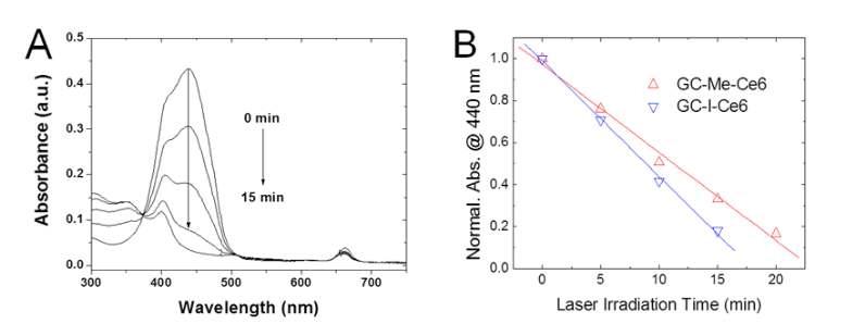 (A) GC-I-Ce6와 RNO의 혼합 수계분산에 671 nm 레이저 조사 시간에 따른 흡광 스펙트럼. (B) GC-I-Ce6 혹은 GC-Me-Ce6 와 RNO의 혼합 수계분산에 671 nm 레이저 조사시간에 따른 RNO 흡광밴드의 감소 추세.