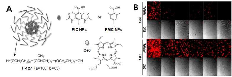 (A) FIC 및 FMC 나노입자의 모식도 및 이들을 구성하는 물질들의 화학구조. (B) FIC 나노 입자와 Ce6 가 함입된 유방암 세포들의 광학 (DIC) 및 근적외 형광(NIRF) 이미지.