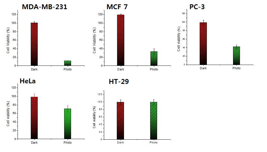MBOF 나노입자의 암독성 및 광독성에 대한 암세포 생존률 (MTT assay).