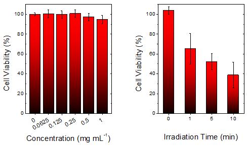 PPa 탑재 고분자 나노입자의 세폭 독성; 농도에 따른 세포 독성 (좌) 및 광조사 시간에 따른 세포독성 (우).