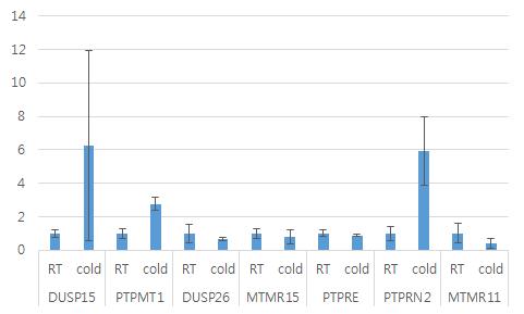 선별된 후보 PTP들의 real-time PCR을 통한 재검증