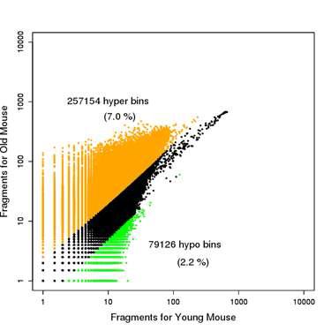 DNA methylation 비교를 보여주는 scatter plot