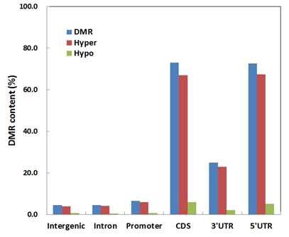 DMR의 genomic distribution