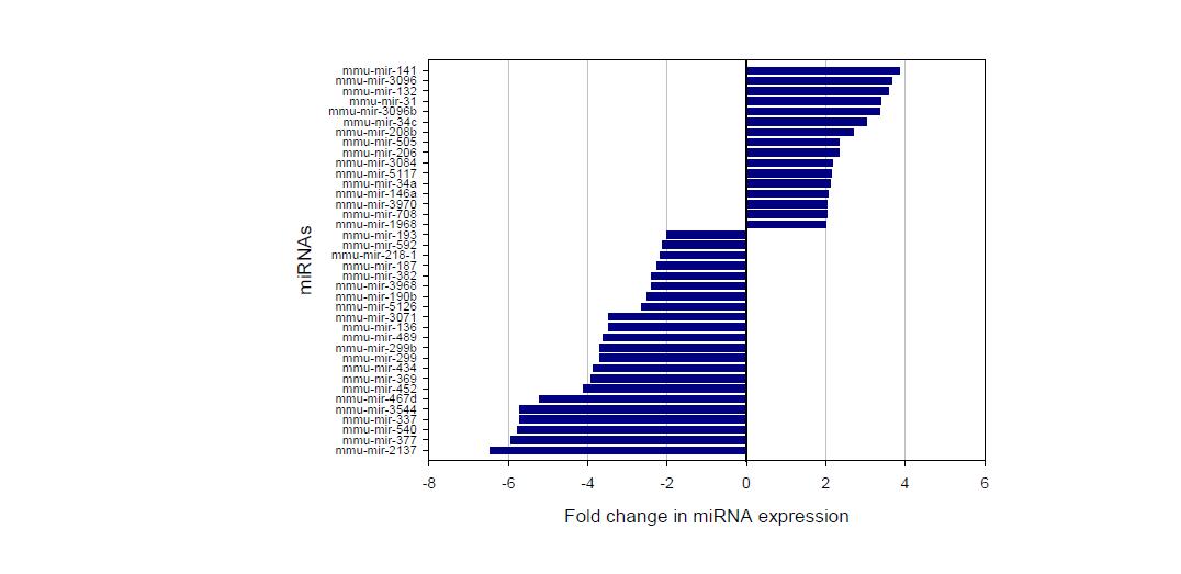 2배 이상 발현 차이가 나는 miRNAs