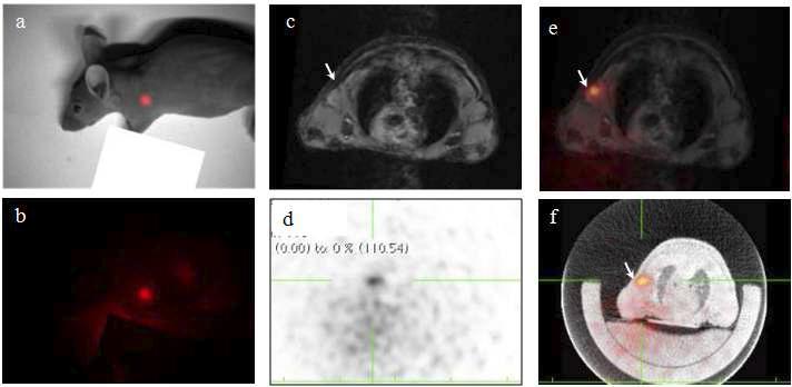 PET/MRI/Fluorescence triple detection system