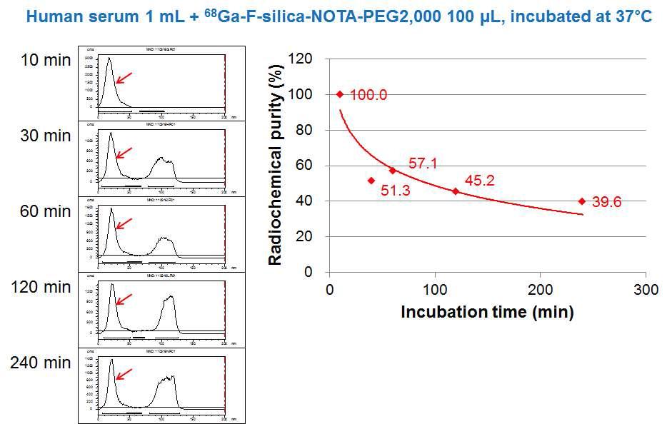 Ga-68-F-silica-NOTA-PEG2,000의 인간 혈청 내에서의 안정성 검사