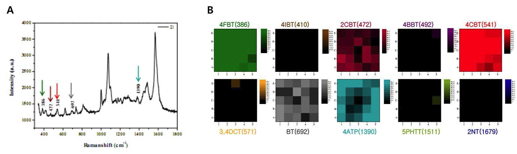 5종류의 SERS 나노입자에 대한 복합 신호 스펙트럼 (A) 및 전체영역에서의 신호세기에 따른 SERS 복합신호 이미지 (B)