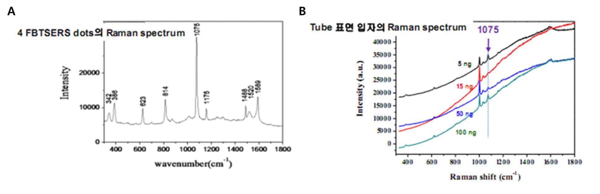 SERS 나노입자의 라만 스펙트럼 (A), 항원 농도에 따른 시험관의 라만 스펙트럼 (B)