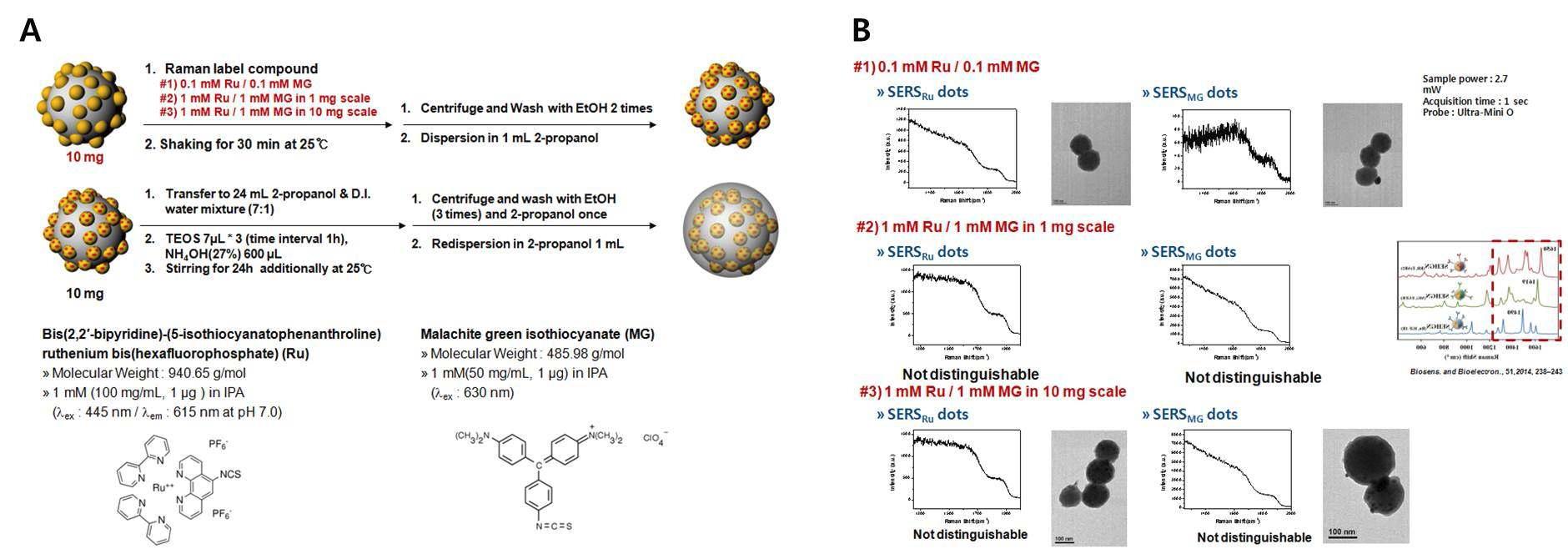 F-SERS dot의 material synthesis 과정 (A) 및 TEM image (B)