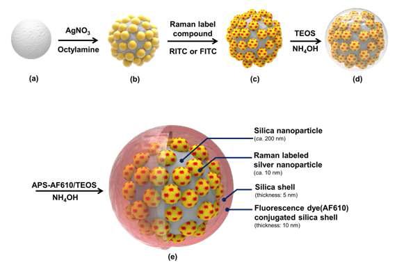F-SERS dot의 합성과정