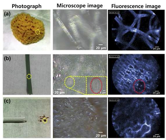 Cell vizio system의 다양한 물질에서의 fluorescence detection