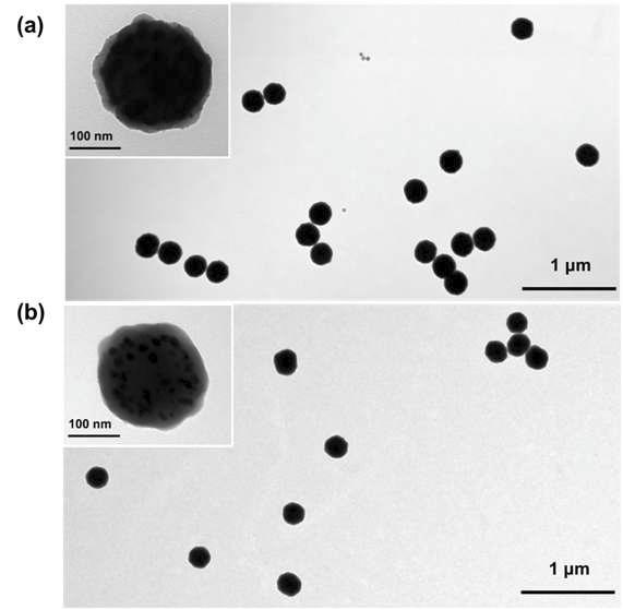 F-SERS dot의 TEM (transmission electron microscopy) image